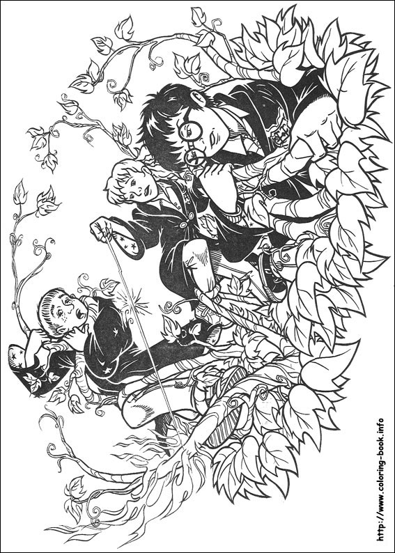 Harry Potter coloring picture